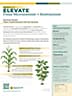 ShurGrow Elevate Info Sheet